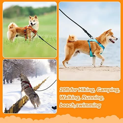 Vivifying 6m (20ft) Floating Dog Check Cord Leash | Durable Polypropylene Rope with Padded Handle & 360° Swivel Clasp thumbnail 5