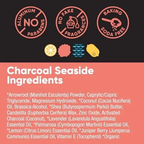 PRETTY FRANK Natural Baking Soda-Free Deodorant Stick, Charcoal Seaside | Sensitive Skin Friendly, Organic Ingredients (70-120 chars) thumbnail 6