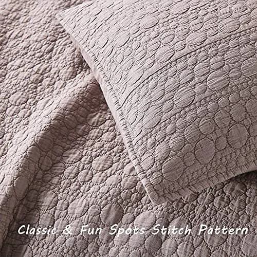 HORIMOTE HOME Quilt Set Queen Size Cameo Rose | Classic Geometric Spots, Ultra Soft, All Season Lightweight Bedspread thumbnail 4