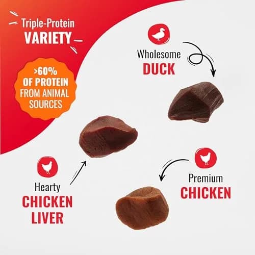 Good ‘N’ Tasty Kabob Bites Soft & Chewy Dog Treats 12 oz | Real Protein & Flavorful Variety thumbnail 3