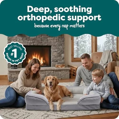 Furhaven Orthopedic Dog Bed for Large Dogs 95 lbs | Supportive Plush & Velvet Waves thumbnail 2