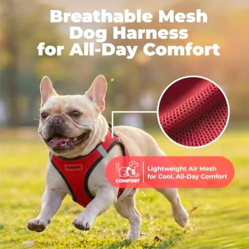 Best Pet Supplies Voyager Step-in Air Dog Vest Harness - Red/Black, XX-Small | Breathable Mesh, Reflective Bands thumbnail 5