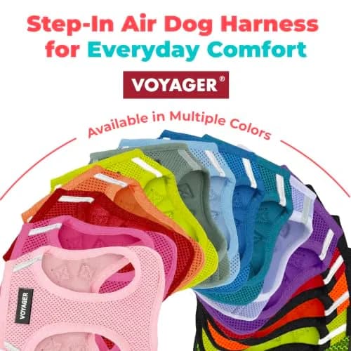 Best Pet Supplies Voyager Step-in Air Dog Vest Harness - Red/Black, XX-Small | Breathable Mesh, Reflective Bands thumbnail 8