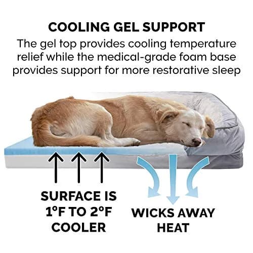 Furhaven Cooling Gel Dog Bed for Medium/Small Dogs | Plush & Velvet Waves, Removable Cover, Supports Up to 35 lbs thumbnail 9