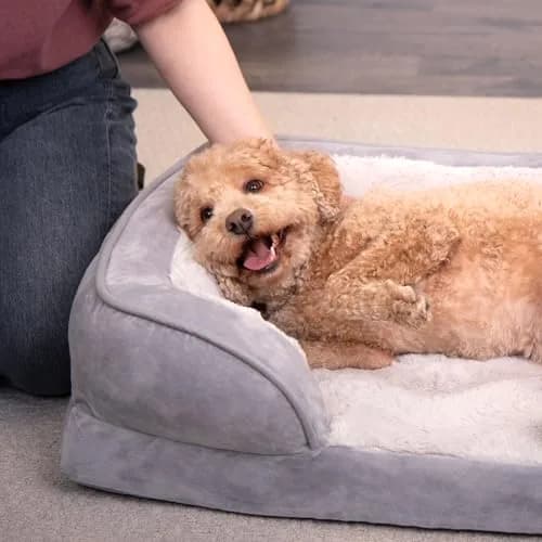 Furhaven Cooling Gel Dog Bed for Medium/Small Dogs | Plush & Velvet Waves, Removable Cover, Supports Up to 35 lbs thumbnail 3