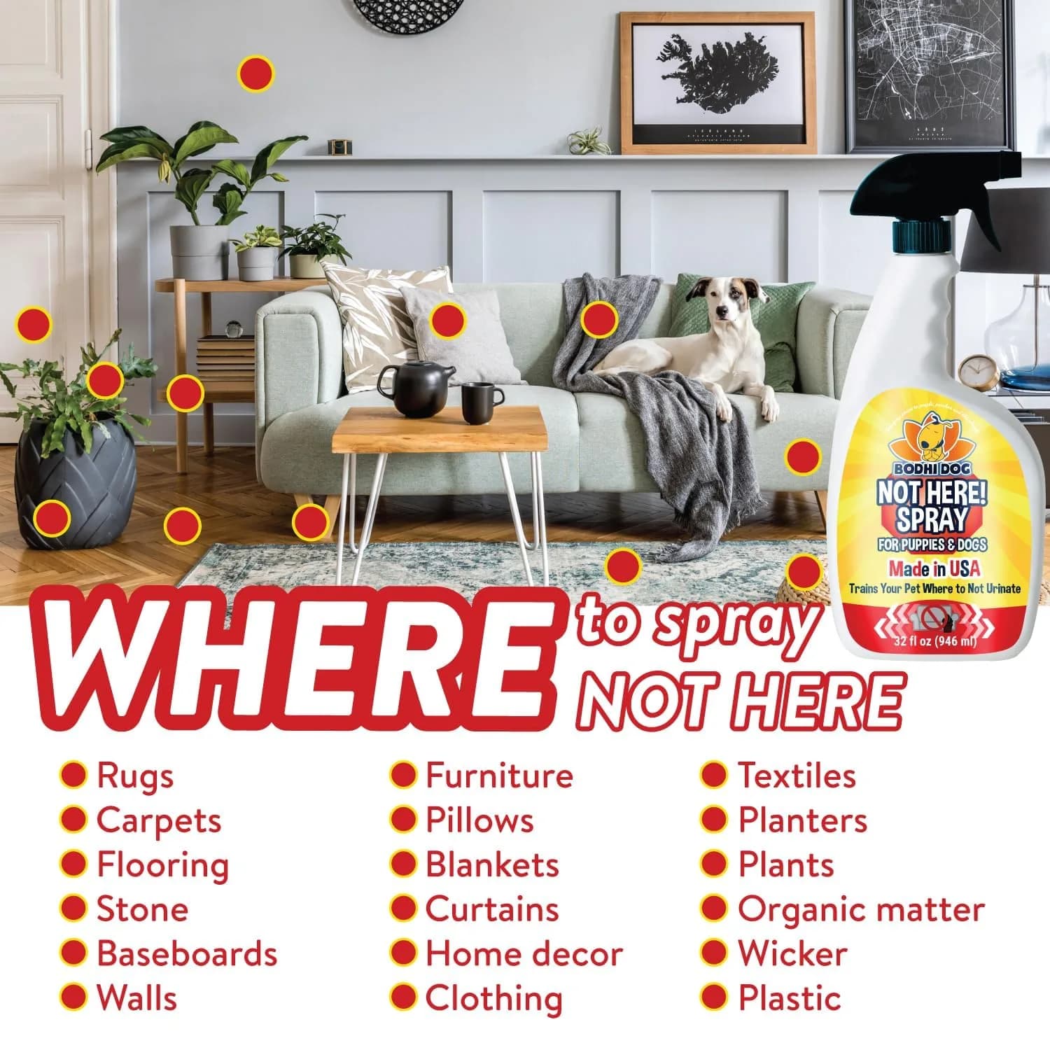 Bodhi Dog Not Here! Spray - Trains Your Pet Where Not to Pee Indoors or Outdoors - Anti Marking Deterrent for Furniture, Carpet & Floor - Training Corrector for Puppies & Dogs - Made in USA (32 Fl Oz) thumbnail 4