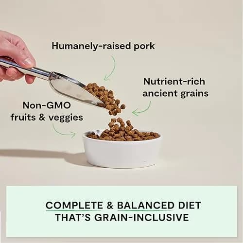 Open Farm Ancient Grains Dry Dog Food, Farmer's Table Pork Kibble, 1.81kg (4lb) | Grain-Inclusive, Sensitive Stomach Support thumbnail 2