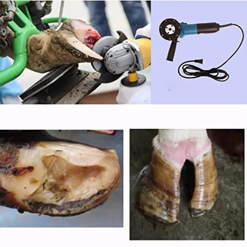 Pssopp Hoof Cutter Disc Metal Accessory Livestock Sheep Cattle Horses Hoof Trimming Disc Plate Tool (Metal) thumbnail 5