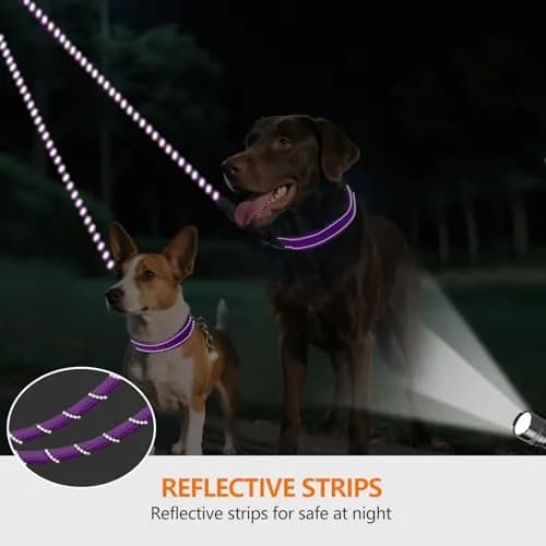 Taglory Double Dog Leash Coupler for Two Dogs, 76.2 cm (30 Inch) Purple | Tangle-Free Walks for Small to Medium Dogs thumbnail 4