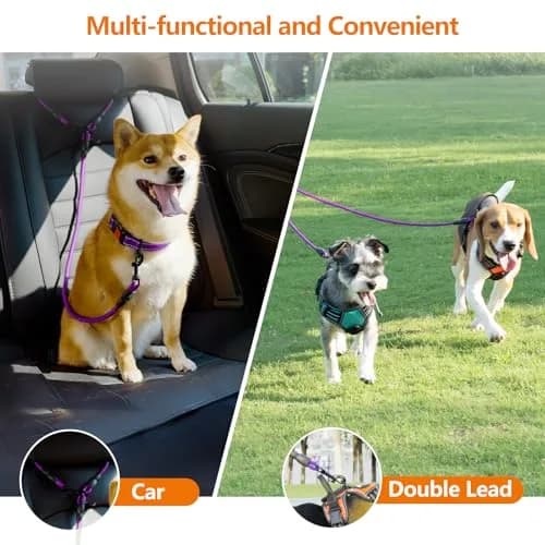 Taglory Double Dog Leash Coupler for Two Dogs, 76.2 cm (30 Inch) Purple | Tangle-Free Walks for Small to Medium Dogs thumbnail 3