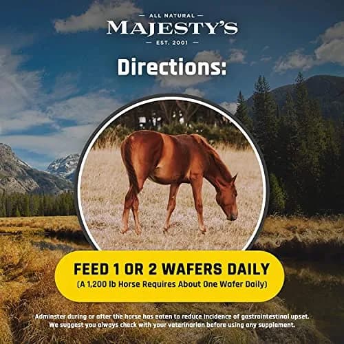Majesty's Flex Wafers - Superior Horse/Equine Joint Support Supplement - Glucosamine, MSM, Chondroitin, Yucca, Vitamin C (Peppermint, 120 Count) thumbnail 6