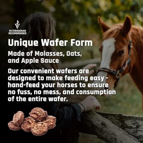 Majesty's Flex Wafers - Superior Horse/Equine Joint Support Supplement - Glucosamine, MSM, Chondroitin, Yucca, Vitamin C (Peppermint, 120 Count) thumbnail 8