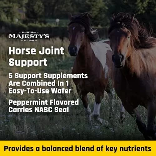 Majesty's Flex Wafers - Superior Horse/Equine Joint Support Supplement - Glucosamine, MSM, Chondroitin, Yucca, Vitamin C (Peppermint, 120 Count) thumbnail 9