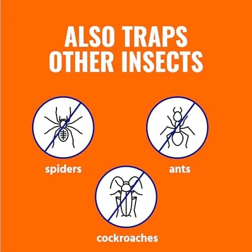 Terro Indoor Electric Flea Trap and Killer, Refillable Plug-in Bug Trap | Detect & Control Fleas Indoors thumbnail 7