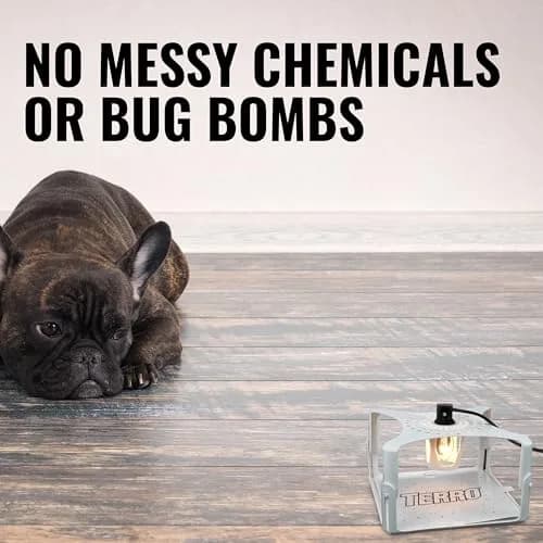 Terro Indoor Electric Flea Trap and Killer, Refillable Plug-in Bug Trap | Detect & Control Fleas Indoors thumbnail 8