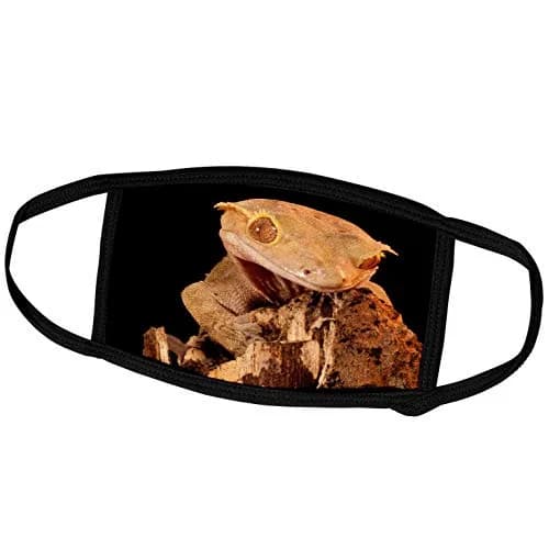 3dRose Crested Gecko Lizard Face Mask 7.25 x 4.7-inch | Custom Printed, Breathable Polyester, Reusable, Stylish thumbnail 1
