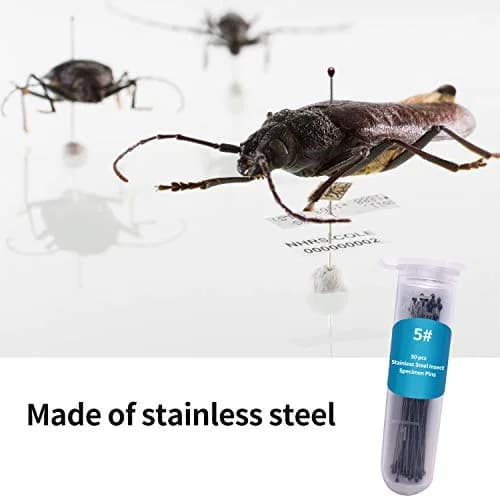 Fpxnb Stainless Steel Insect Pins 350 Pcs (40mm Length, 0.27-0.71mm Diameter) | Entomology Specimen Needles thumbnail 5