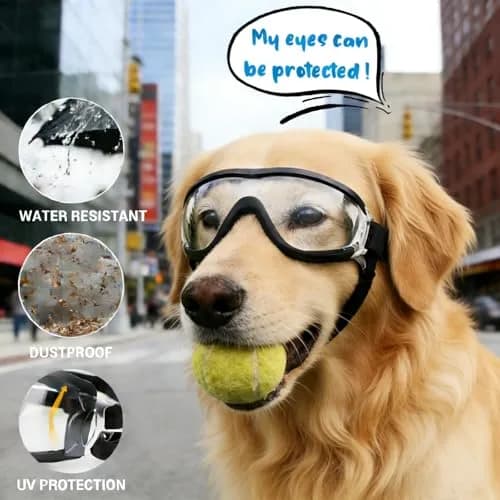 NAMSAN Clear Dog Goggles for Medium to Large Dogs | UV Protection Driving Glasses with Adjustable Straps thumbnail 4