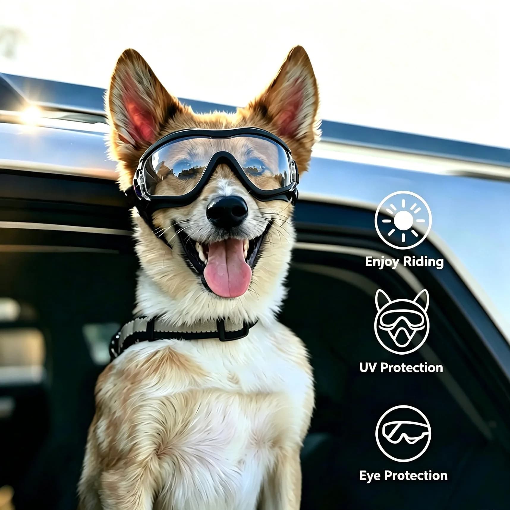 NAMSAN Clear Dog Goggles for Medium to Large Dogs | UV Protection Driving Glasses with Adjustable Straps - view 7