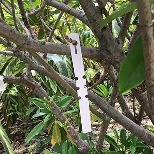 MIHEY White Plastic Plant Tags with Marker Pen, 20cm (7.87 inch) - 200 Pcs | Durable & UV Resistant thumbnail 6