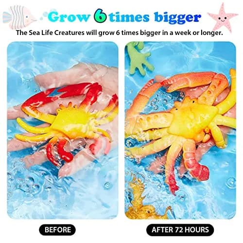 Outus Water Growing Toy Animal Sea Creatures | Realistic, Patience Training, Reusable Fun thumbnail 5