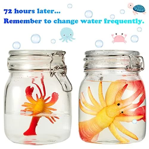 Outus Water Growing Toy Animal Sea Creatures | Realistic, Patience Training, Reusable Fun thumbnail 6