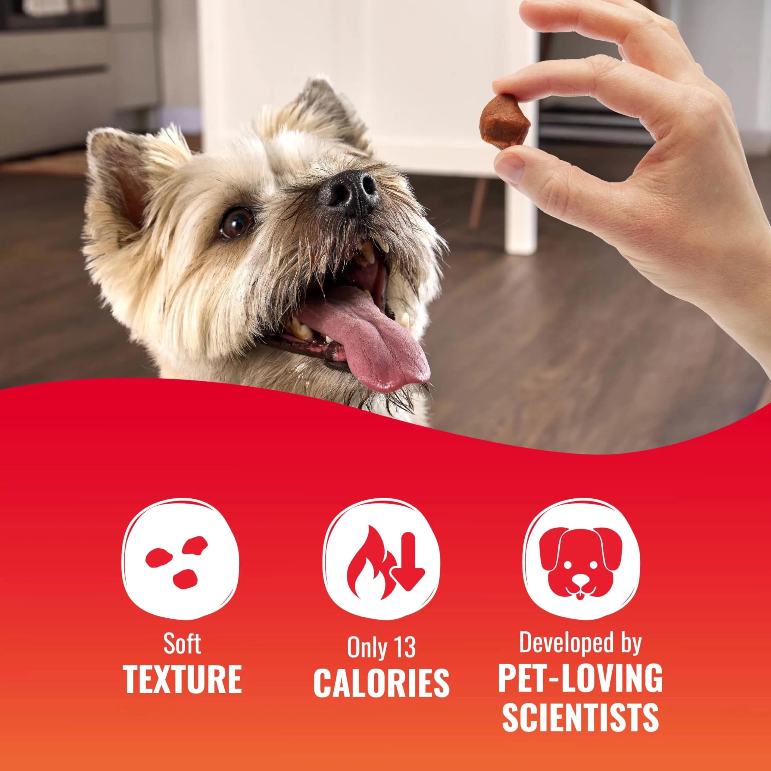 Good ‘N’ Tasty Kabob Bites Soft & Chewy Dog Treat, 4 oz (12 Pack) | Premium Chicken & Variety Flavors thumbnail 8