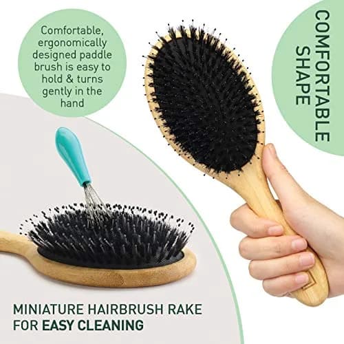 Zollo Natural Boar Bristle Hair Brush Oval | Detangles, Smooths Frizz, Restores Moisture thumbnail 5
