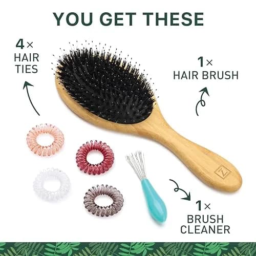Zollo Natural Boar Bristle Hair Brush Oval | Detangles, Smooths Frizz, Restores Moisture thumbnail 6