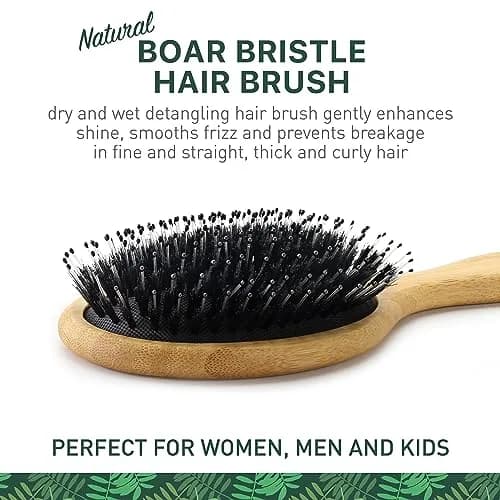 Zollo Natural Boar Bristle Hair Brush Oval | Detangles, Smooths Frizz, Restores Moisture thumbnail 2