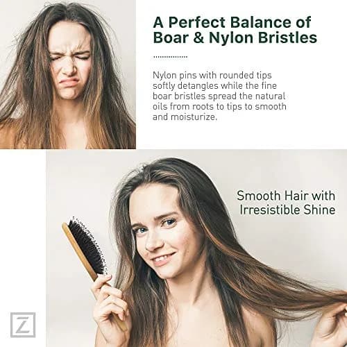 Zollo Natural Boar Bristle Hair Brush Oval | Detangles, Smooths Frizz, Restores Moisture thumbnail 3
