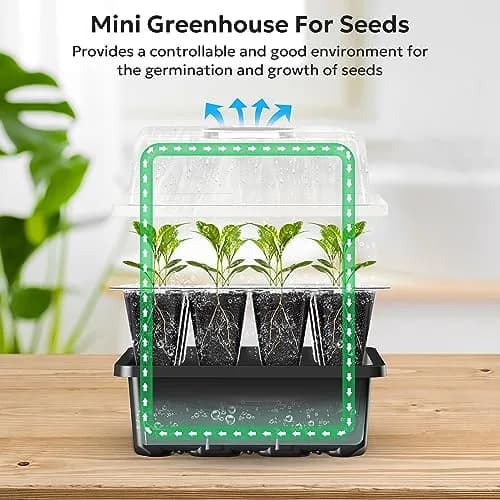 MIXC 10 Pack Seed Starter Tray with Humidity Dome & 120 Cells | 18.5cm x 12.2cm x 11.2cm (7.3" x 4.8" x 4.4") thumbnail 4