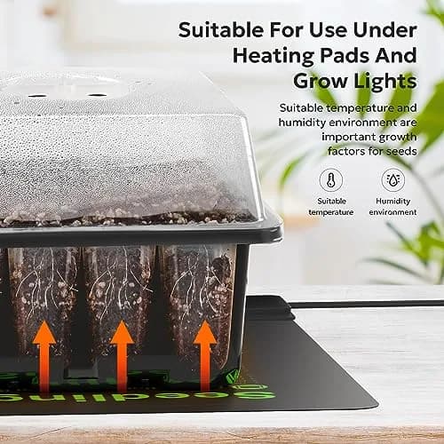 MIXC 10 Pack Seed Starter Tray with Humidity Dome & 120 Cells | 18.5cm x 12.2cm x 11.2cm (7.3" x 4.8" x 4.4") thumbnail 2