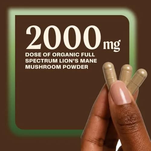 OM MUSHROOM SUPERFOOD Lion's Mane Mushroom Capsules - Organic Supplement for Memory & Focus, 180 Count (60 Servings) in India thumbnail 5