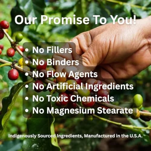 Paradise Herbs & Essentials Organic Camu Camu Extract 400 mg 180 Caps | Supports Immune & Antioxidant Health thumbnail 6