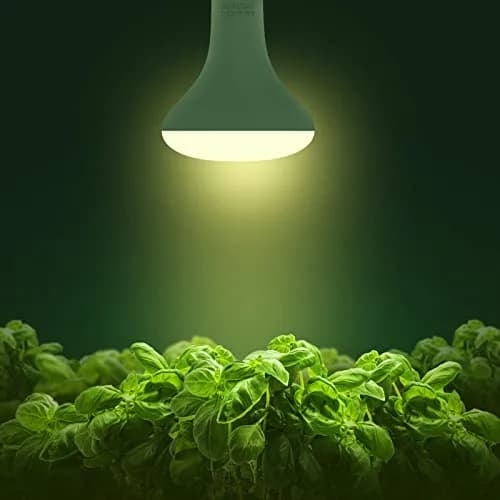 Briignite BR30 LED Grow Light Bulb 12W (120W Eq.) Full Spectrum | 3500K E26 Base thumbnail 2
