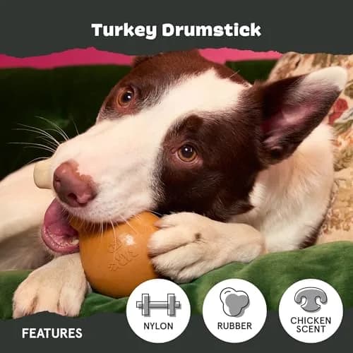 BarkBox Turkey Super Chewer - Toy for Large Dogs | Durable Chew Toy with Chicken Scent (Medium/Large) thumbnail 4