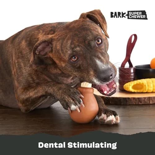 BarkBox Turkey Super Chewer - Toy for Large Dogs | Durable Chew Toy with Chicken Scent (Medium/Large) thumbnail 5