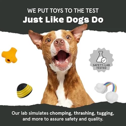 BarkBox Turkey Super Chewer - Toy for Large Dogs | Durable Chew Toy with Chicken Scent (Medium/Large) thumbnail 7