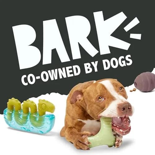 BarkBox Turkey Super Chewer - Toy for Large Dogs | Durable Chew Toy with Chicken Scent (Medium/Large) thumbnail 8