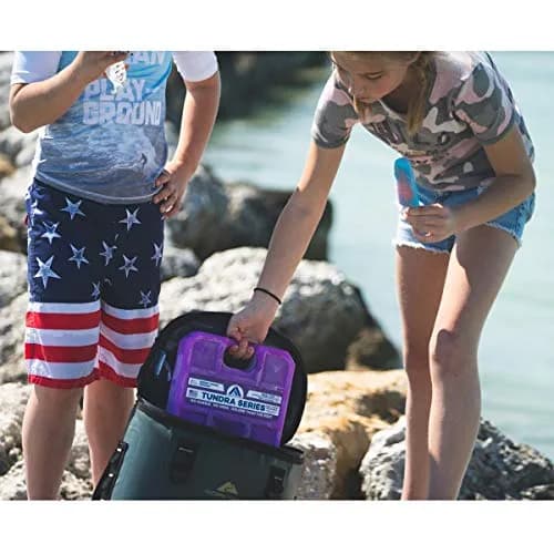 Arctic Ice Tundra Series XX-Large Reusable Ice Pack 4.54 kg (10 lb) 2-Pack | Maintains 5°F Freezer Temperature for Days thumbnail 6