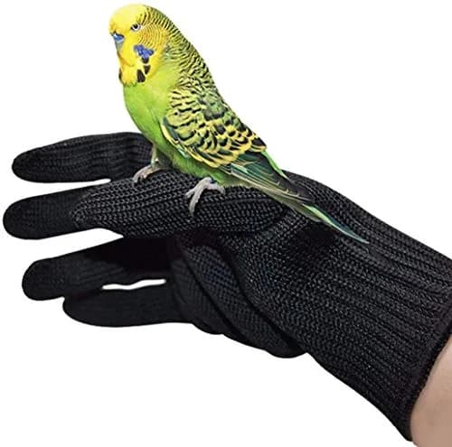 alfyng Bird Training Anti-Bite Gloves, Small Animal Handling Gloves, Chewing Protective Gloves for Small Animal Pet Squirrels Hamster Parrotlets Cockatiels Finch Macaw (1 Pair, Black) thumbnail 1