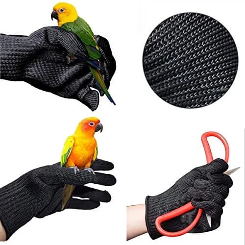 alfyng Bird Training Anti-Bite Gloves, Small Animal Handling Gloves, Chewing Protective Gloves for Small Animal Pet Squirrels Hamster Parrotlets Cockatiels Finch Macaw (1 Pair, Black) thumbnail 6