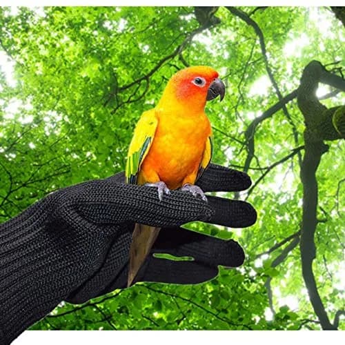alfyng Bird Training Anti-Bite Gloves, Small Animal Handling Gloves, Chewing Protective Gloves for Small Animal Pet Squirrels Hamster Parrotlets Cockatiels Finch Macaw (1 Pair, Black) thumbnail 7