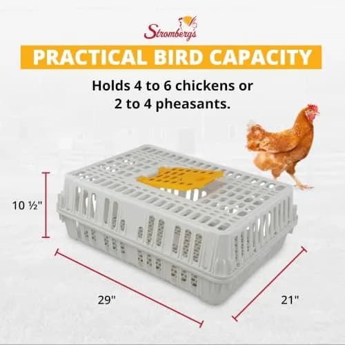Stromberg's Poultry Transport Crate, Secure Chicken Carrier | Durable Outdoor Bird Cage thumbnail 4