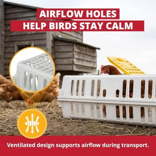 Stromberg's Poultry Transport Crate, Secure Chicken Carrier | Durable Outdoor Bird Cage thumbnail 5