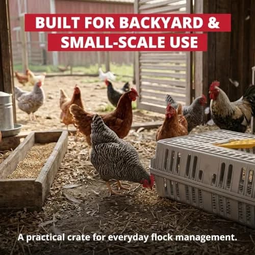 Stromberg's Poultry Transport Crate, Secure Chicken Carrier | Durable Outdoor Bird Cage thumbnail 7