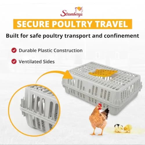 Stromberg's Poultry Transport Crate, Secure Chicken Carrier | Durable Outdoor Bird Cage thumbnail 2