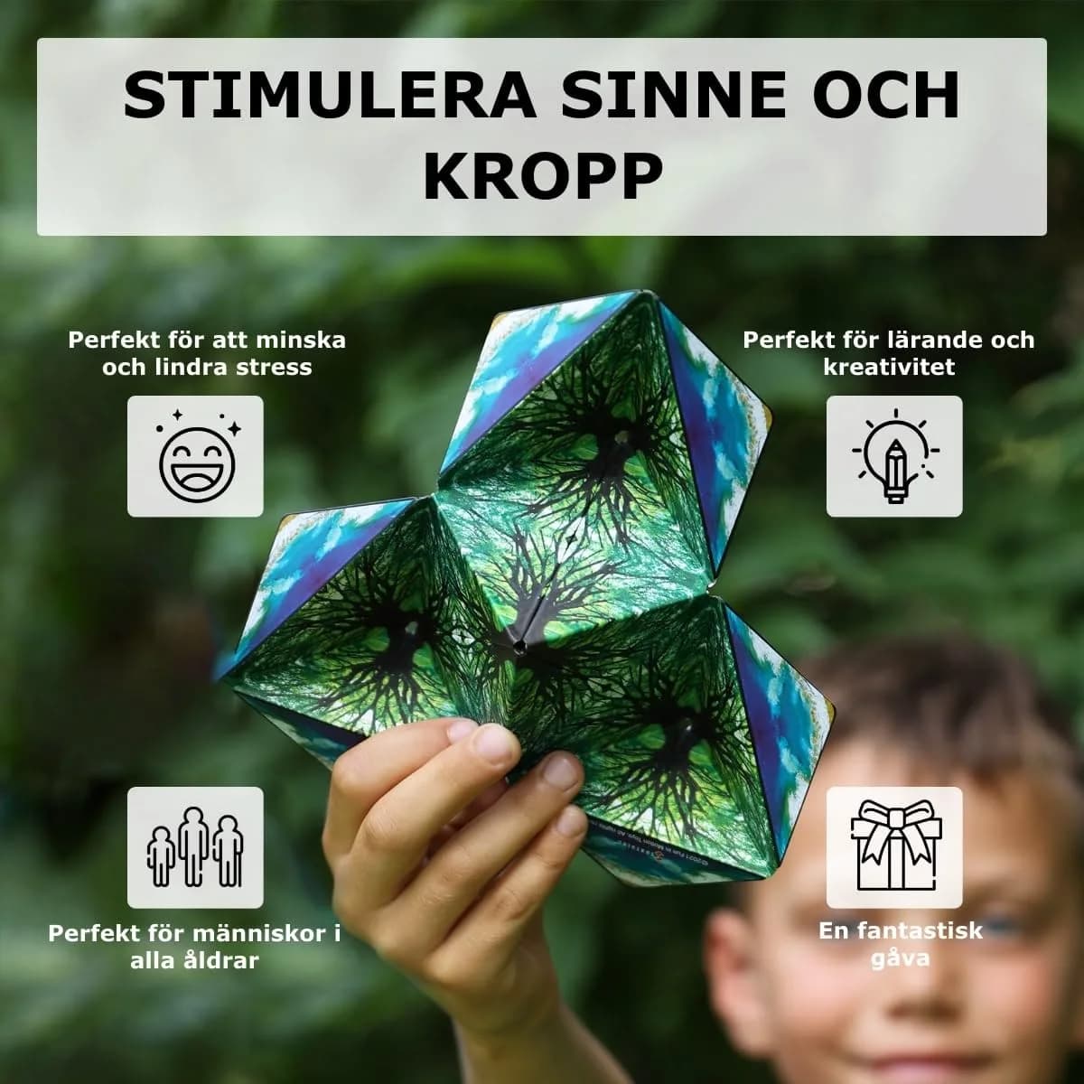 Shashibo Dodeca Tales of Ovirnia Magnetic Fidget Cube - Chaos / DODECA | ASTM-Tested Educational Toy - view 4