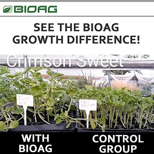 BioAg CytoPlus Organic Humic Acid Plus Seaweed Extract, 300g | Soil & Plant Growth Booster thumbnail 4